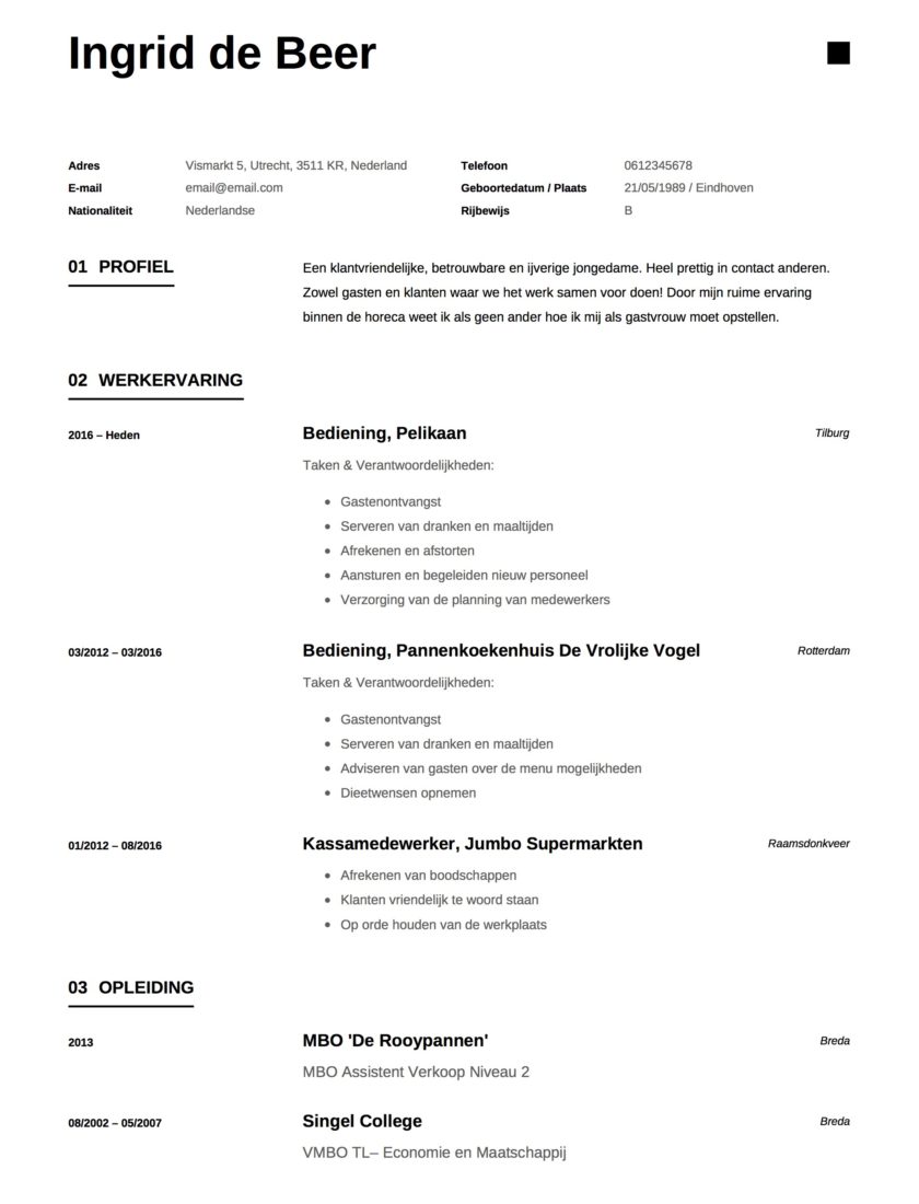 kom tot rust Onweersbui Monografie Voorbeeld CV Bediening & Handleiding | 12 CV's in PDF & JPG